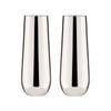 Tempa Aurora Set of 2 Stemless Champagne Glasses Silver
