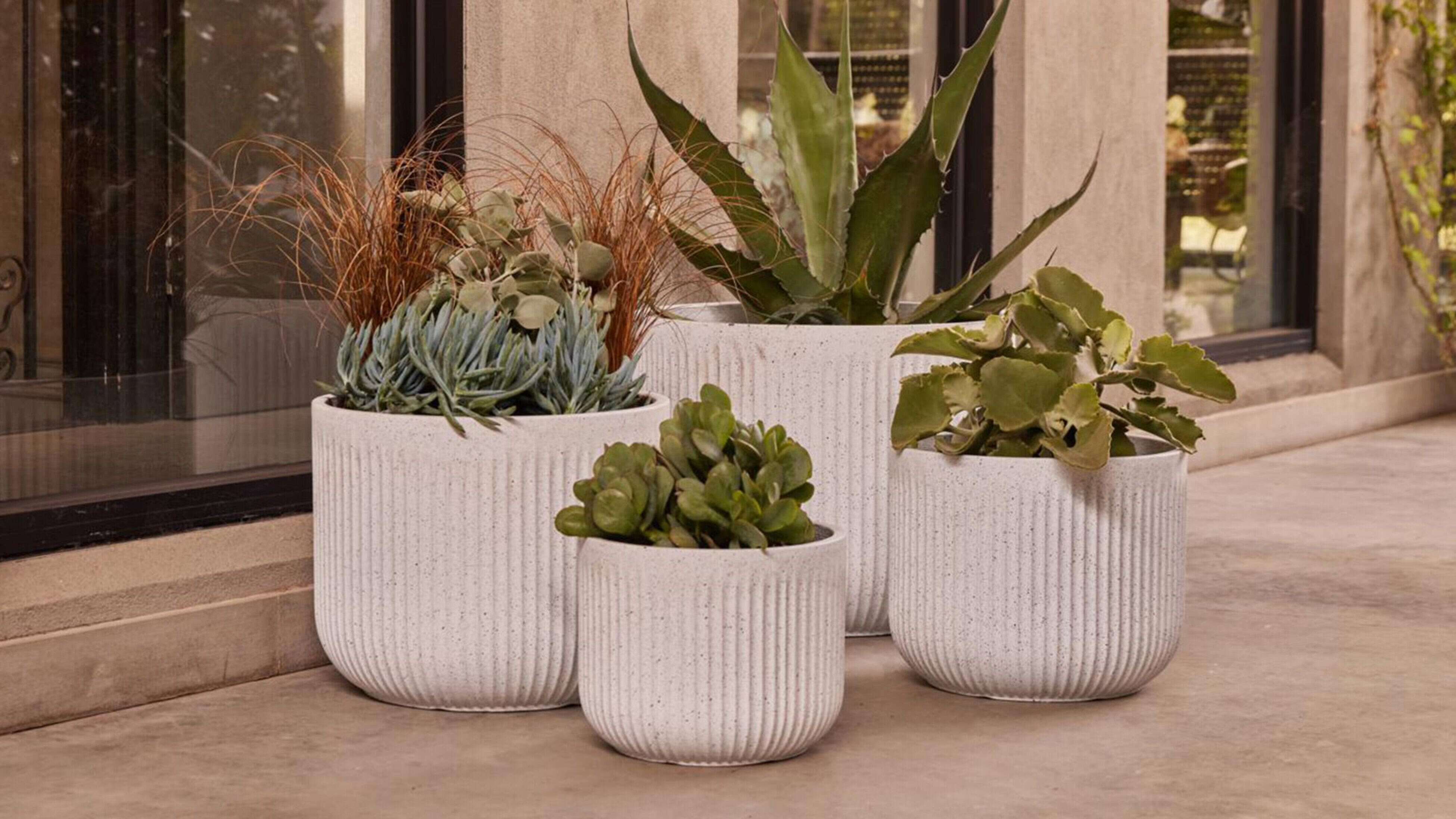 Four Northcote Pottery cylinder plant pots in a variety of sizes are grouped on a concrete patio