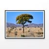 Tree Standing In the Grasslands  Print 100% Australian Made 90x60cm  (Poster)