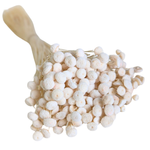 Blooms Of Joy 45cm White Botao Flowers