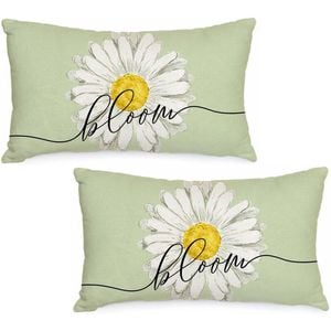 Catzon 2 Pcs Summer Lumbar Pillow Covers Linen Pillowcase for Home Decor-Set 48