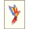Rayell Framed Kids Artwork Jungle Bird Natural Cream 50x70cm