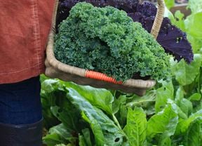 Close-up of assorted vegetables in cane basket