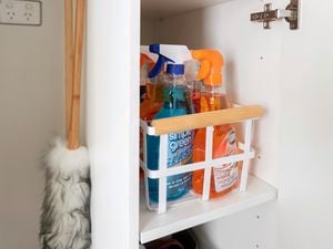 Cleaning chemicals stored in cupboard.