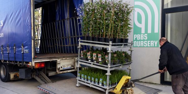Trade Service -  Commercial Greenlife - SBS - 5. Direct to site