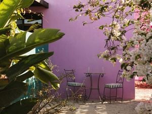 Shot of an outdoor setting with the wall of a house painted purple