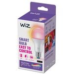 WIZ A67 E27 LED 1521lm Colour 13W Smart Globe