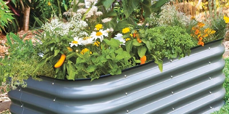 A raised garden bed, with a tin frame