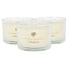 Soy Wax Scented Candles - 350g - Lemongrass Pack of 3 Double Wick Glass Jars Fruity Summer Scent Long Burn Fragrance