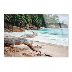 Rocks And Palm Tree  Print 100% Australian Made 120 x 90cm  (Acrylic)