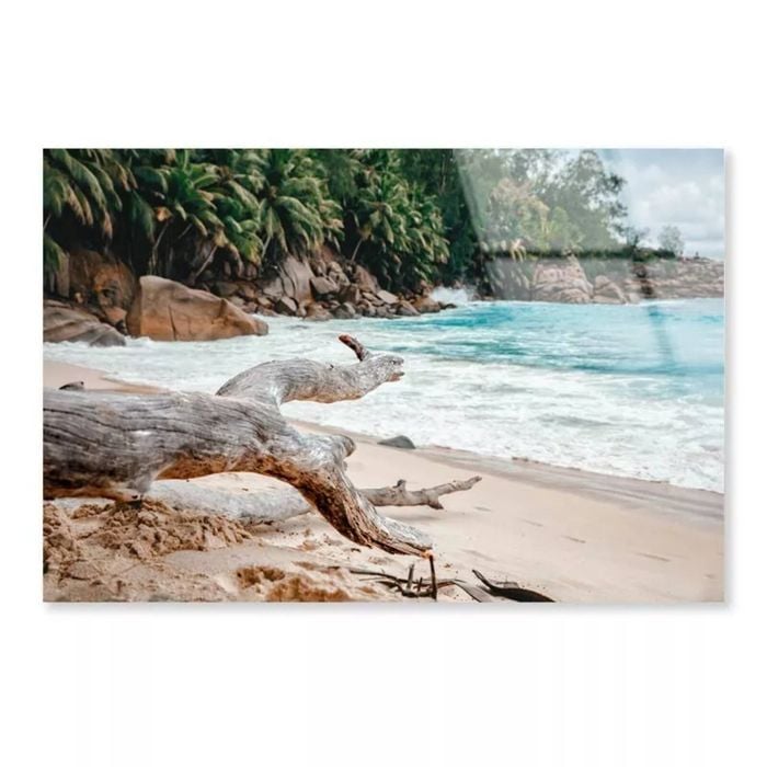 Rocks And Palm Tree  Print 100% Australian Made 120 x 90cm  (Acrylic)