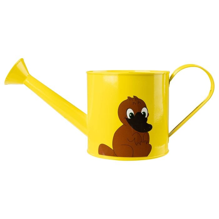 Cyclone 1.6L Platypus Watering Can