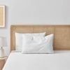 Essn Healthguard Allergy Sensitive Soft Cotton Cover Top Pillow Low Profile Twin Pack