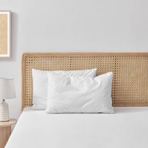 Essn Healthguard Allergy Sensitive Soft Cotton Cover Top Pillow Low Profile Twin Pack