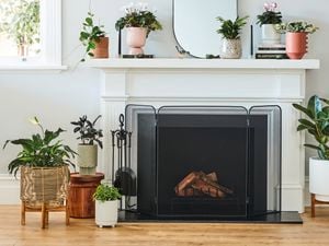 Living room with plant pots, rug and fireplace.