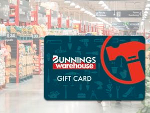 Gift gard with store background.