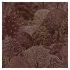 Arboretum Berry Wallpaper by Holden Decor  10.05m by  53cm