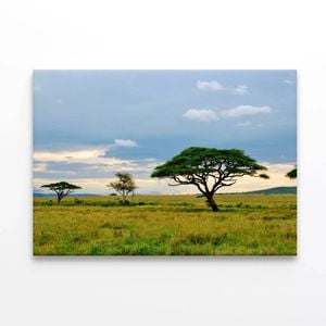 Park with Mountains Tanzania  Print 100% Australian Made 120 x 90cm  (Stretched)