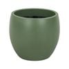 Astin Sinclair 185 x 165 mm Belly Green Pot