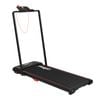 Centra Foldable Incline 2-IN-1 Treadmill Walking Pad Bluetooth ZWIFT KINOMAP FITSHOW