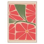Galrie Stunning Modern Floral Art Print by Steve Simpson - Abstract Flower Design, Wood Frame, 70 x 100cm (28 x 40inch)