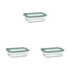 3PK Ecology Store Rectangle Glass Food Container 640ml - Eucalyptus