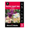 Bloomin' Bulbs - Pacific Coast Iris Assorted - 2 Pack