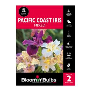 Bloomin' Bulbs - Pacific Coast Iris Assorted - 2 Pack