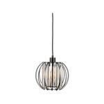 Brilliant Empress 26cm Cage and Crystal Prism Pendant Light