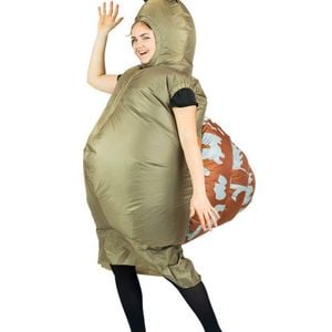 Inflatable Novelty Garden Snail Adults Costume - One Size