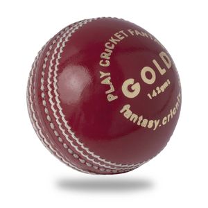 Cricnix Cricket Ball Gold Red Leather (3-Pack) 142g for Practice or Training