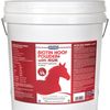 Vetsense Biotin Hoof Powder Plus with MSM Horse Supplement 10kg