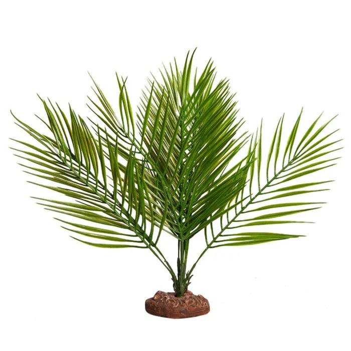 Reptile One Plant Large Palor Palm Green With Ceramic Base