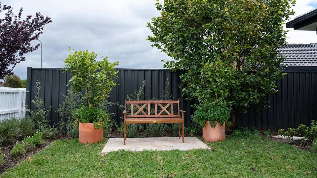 A garden with a wooden bench.