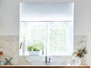 White roller blinds.