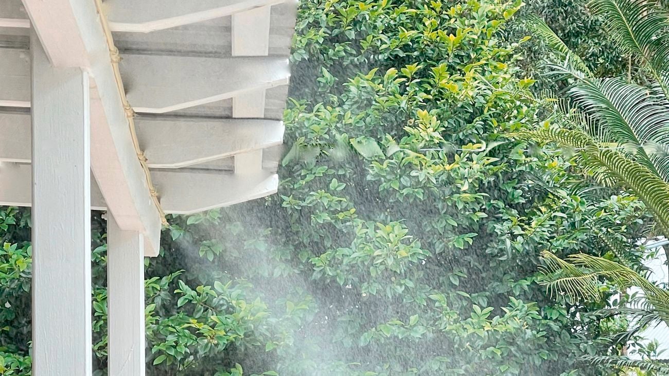 Mist on roof with fence and tree in background