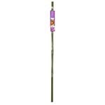 Jack 1.6m Tomato Cage Plant Trainer
