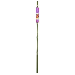 Jack 1.6m Tomato Cage Plant Trainer