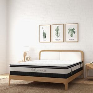 Royal Comfort Osteopedic Euro Top Pocket Spring Mattress White Queen