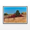 Grass With Trees an Autumn Vibe  Print 100% Australian Made 120x90cm  (Poster)