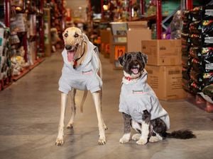 Graphic - Stores For Paws 2026_Hero Image - Media Release