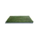 Happy Tails Puppy Training Grass