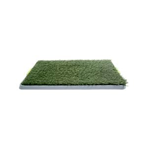 Happy Tails Puppy Training Grass