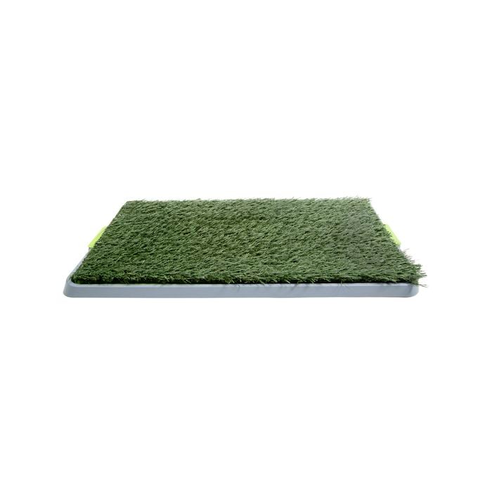 Happy Tails Puppy Training Grass