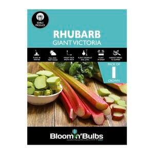Bloomin' Bulbs Rhubarb Giant Victoria - 1 Pack