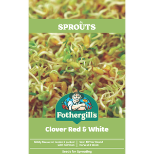 Fothergill's Sprouts Alive Clover Red and White Seeds