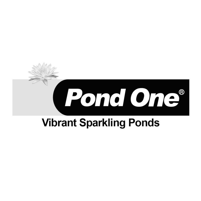 Pond One