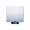 Taylor Large Platform Digital Dual Kitchen Scale