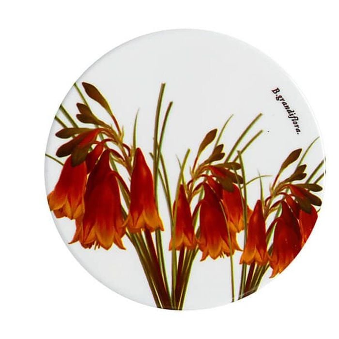 Maxwell & Williams Royal Botanic Garden Ceramic Round Coaster Xmas Bells 9.5cm