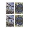 2x 2pc Ashdene Aus Small Birds Wren Wagtail Kitchen Tea Towels Animal Art